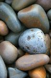 6061-2 Cornish Pebbles * 533 x 800 * (133KB)